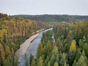 Fraser River outside of Quesnel British Columbia